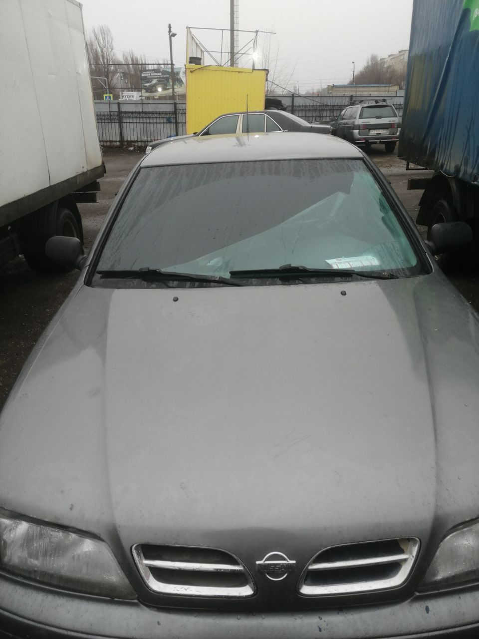 Снимаем тонировку — Nissan Primera (P11), 2 л, 1998 года | своими руками |  DRIVE2