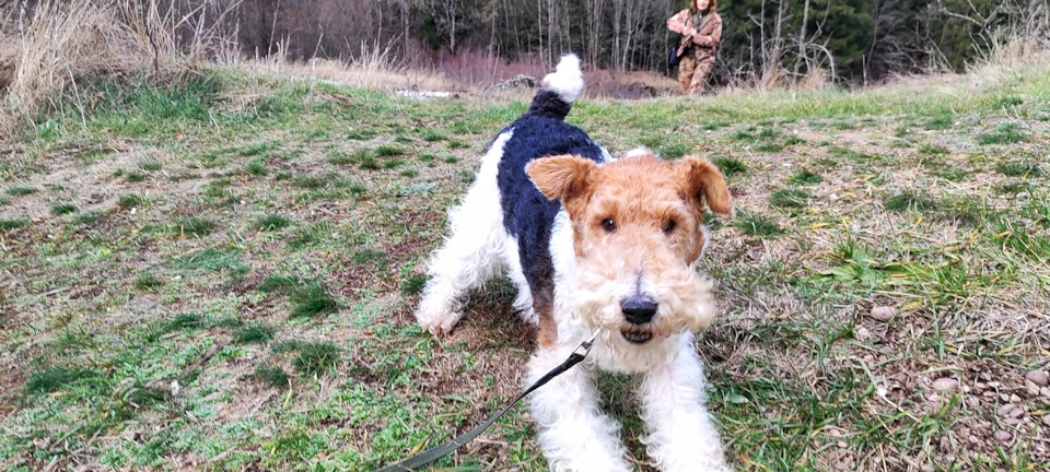 Фото в бортжурнале Mitsubishi Pajero (4G)