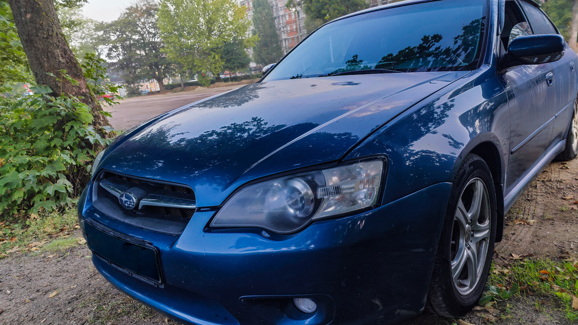 Subaru Legacy (BL/BP) 2.0 бензиновый 2006 | на DRIVE2