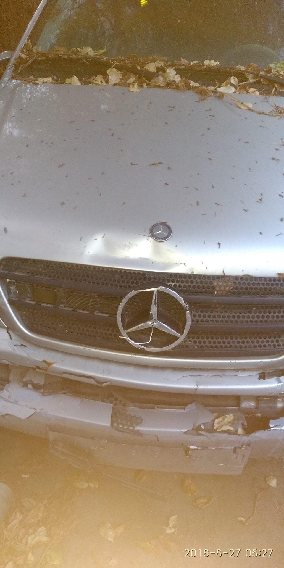 Фото в бортжурнале Mercedes-Benz M-Class (W163)