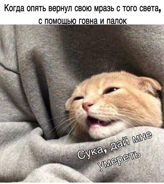 roAAAgOOsuA-960.jpg