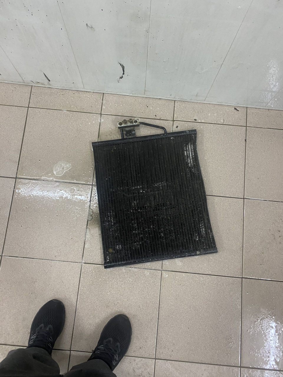 Фото в бортжурнале BMW 5 series (E39)