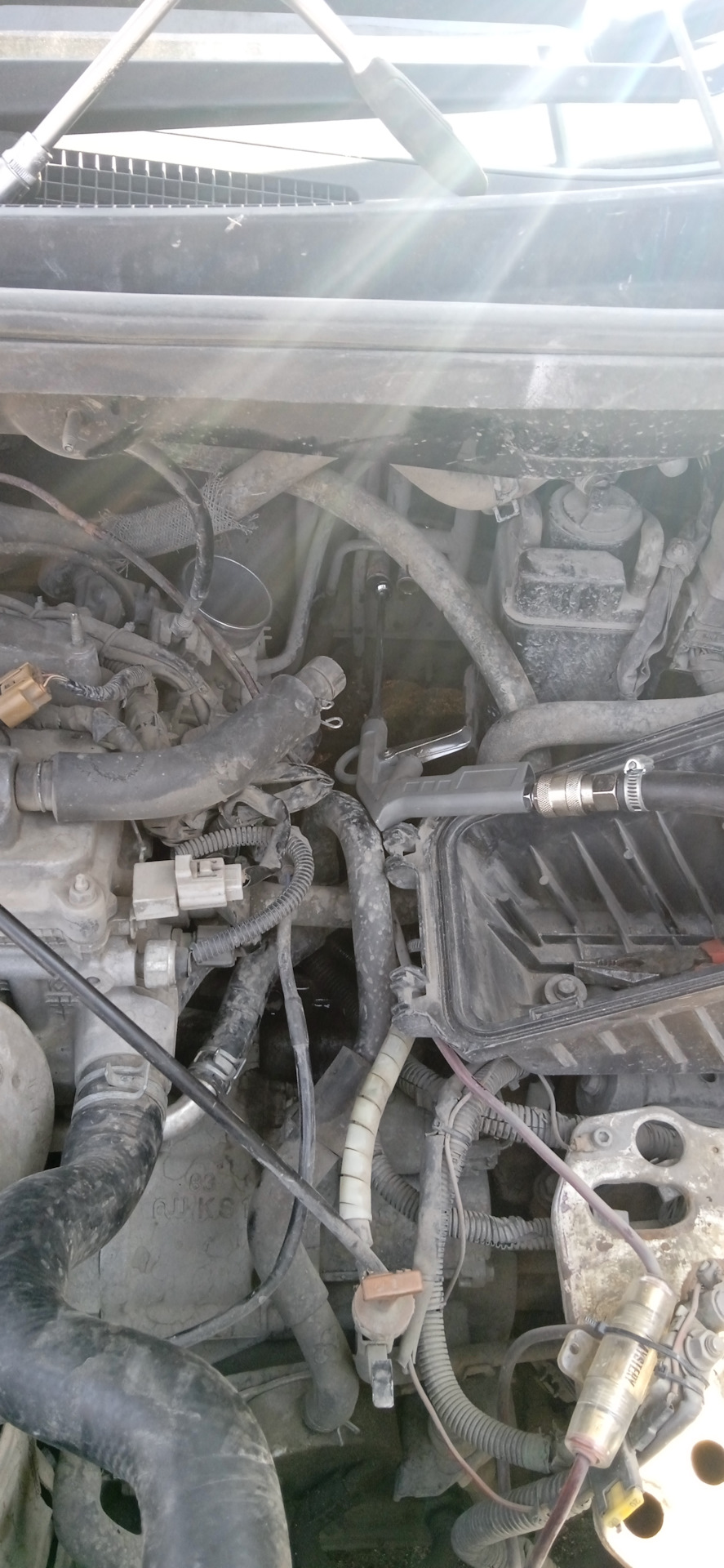 Фото в бортжурнале Toyota Ipsum (21)
