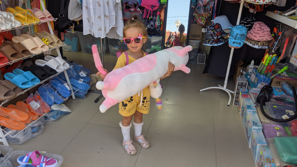 Счастливый обладатель плюшевого котика — Lada Vesta SW Cross (1G)