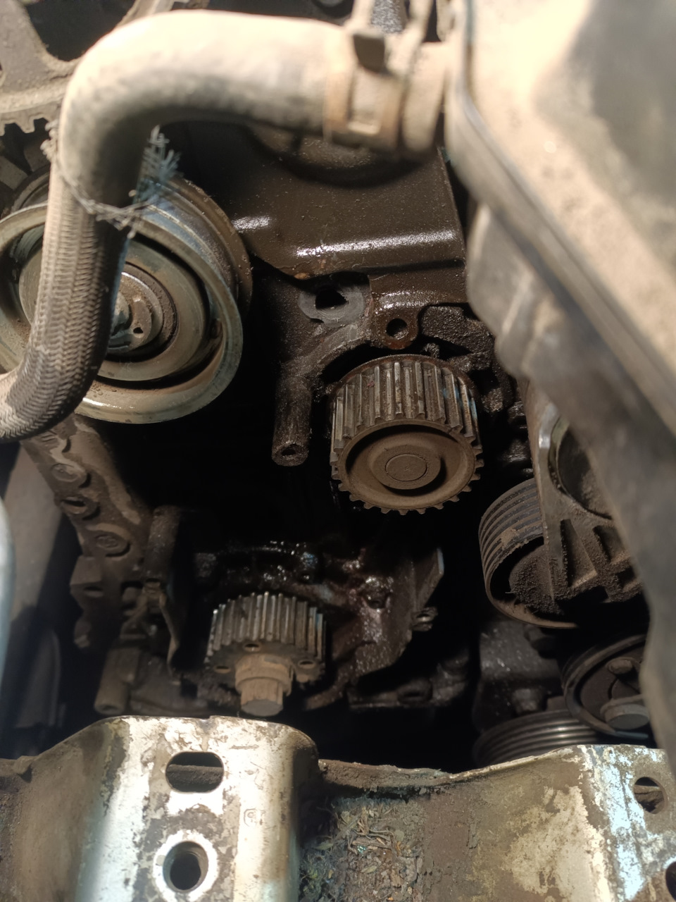 Фото в бортжурнале Skoda Octavia Combi A4 Mk1