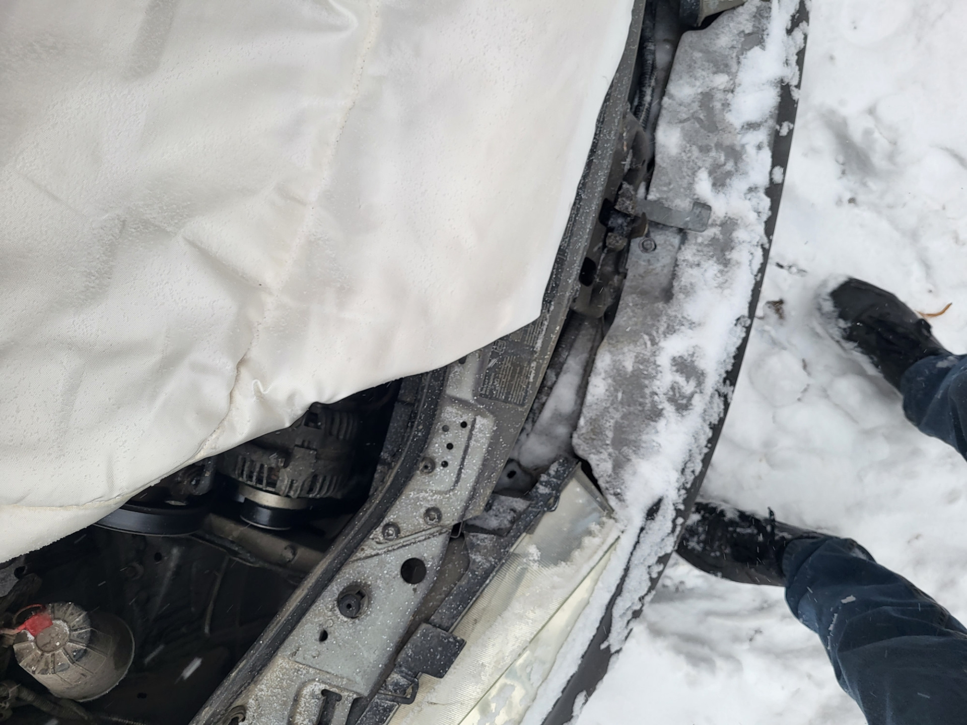 Зима… Водитель торжествуя … Укрыл мотор и в ус не дует ?? — Renault ...