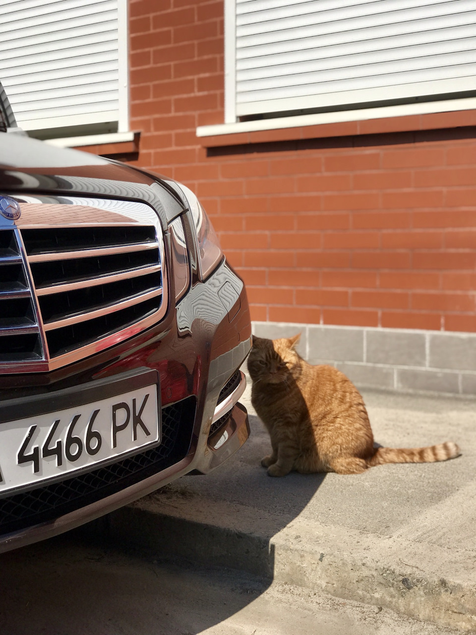 Фото в бортжурнале Mercedes-Benz E-class (W212)