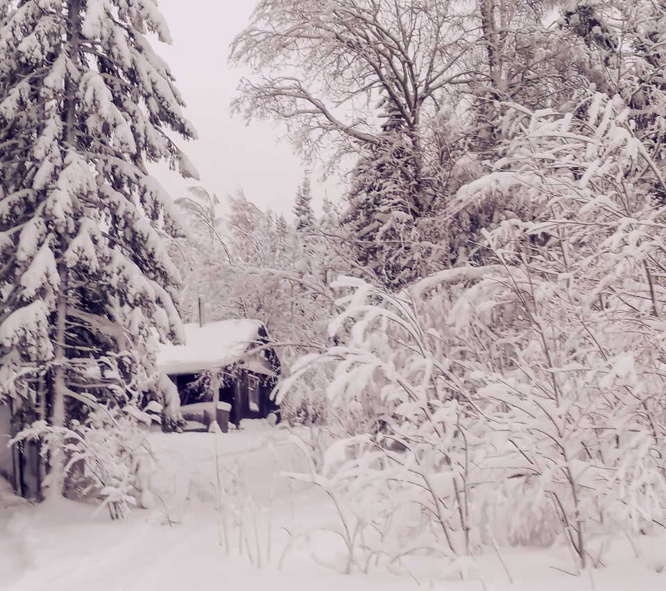 Вдруг у кого снега нет — DRIVE2