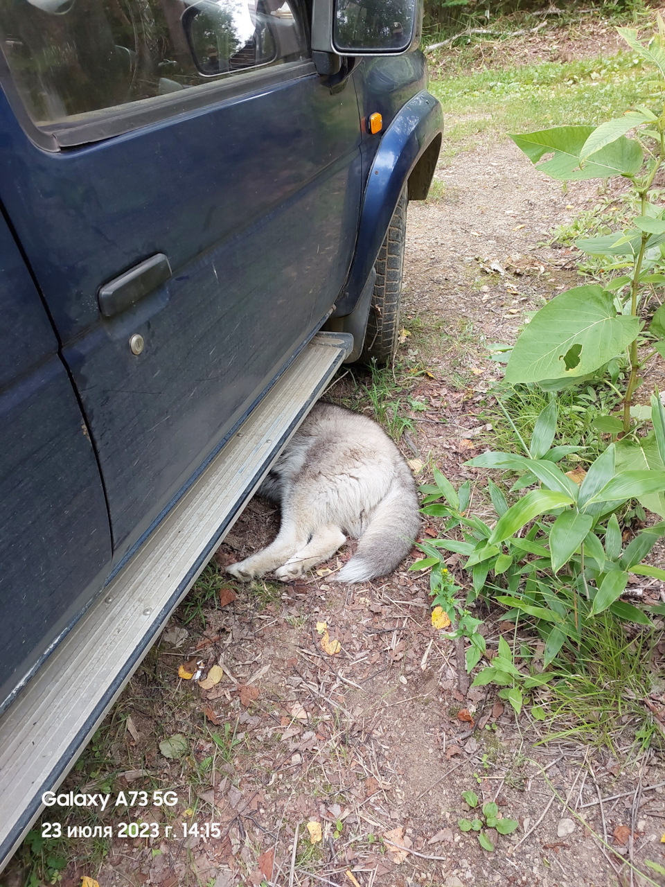 Псо занялся отслеживанием проводки снизу. Заодно, несколько кос и шлангов стяжками закрепил, чтоб не болтались. — Nissan Terrano I