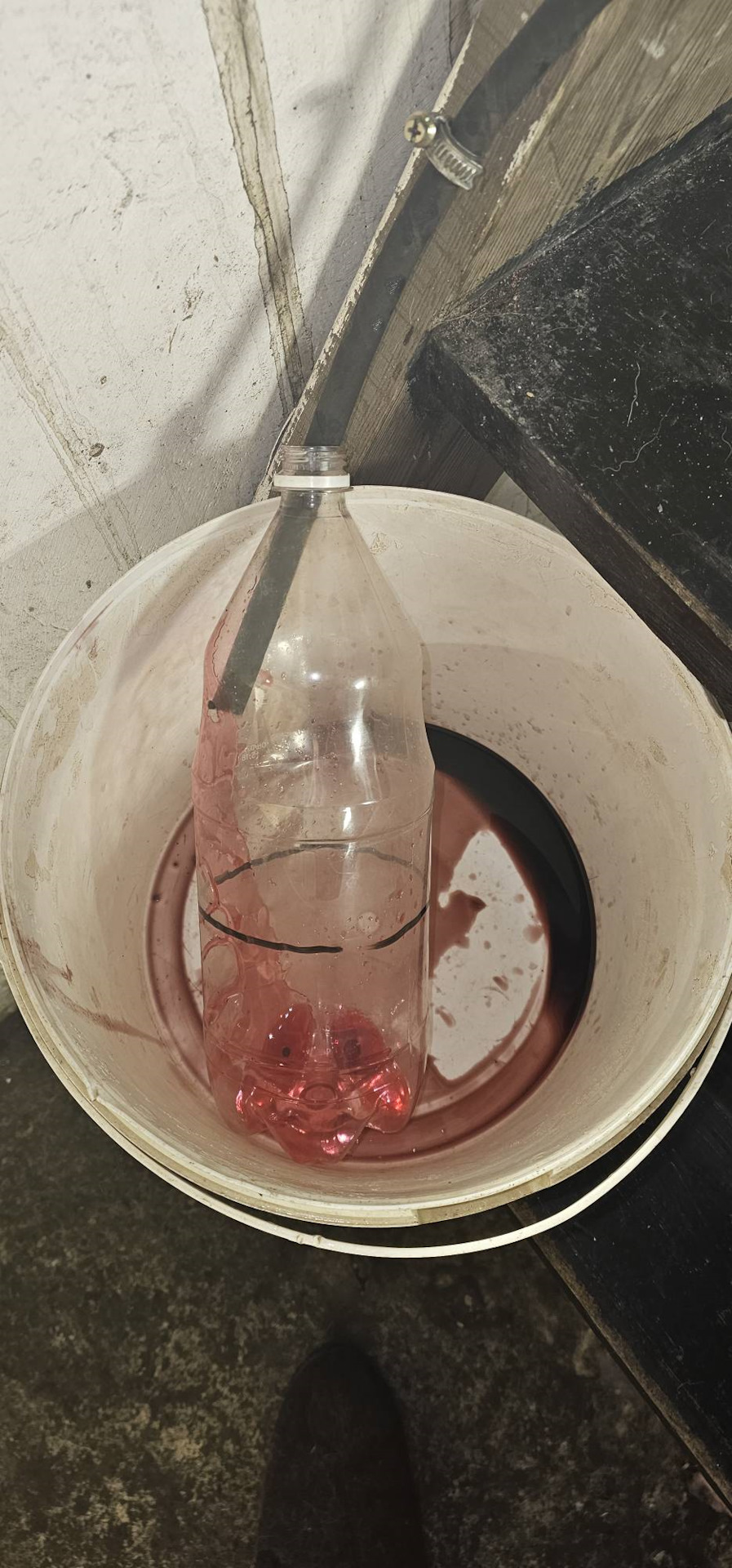 Замена масла в коробке Камри — Toyota Camry (XV40), 2,4 л, 2011 года ...