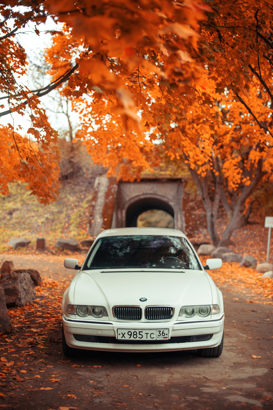 Cronstadt и осень — BMW 7 series (E38), 3,5 л, 1995 года | фотография |  DRIVE2