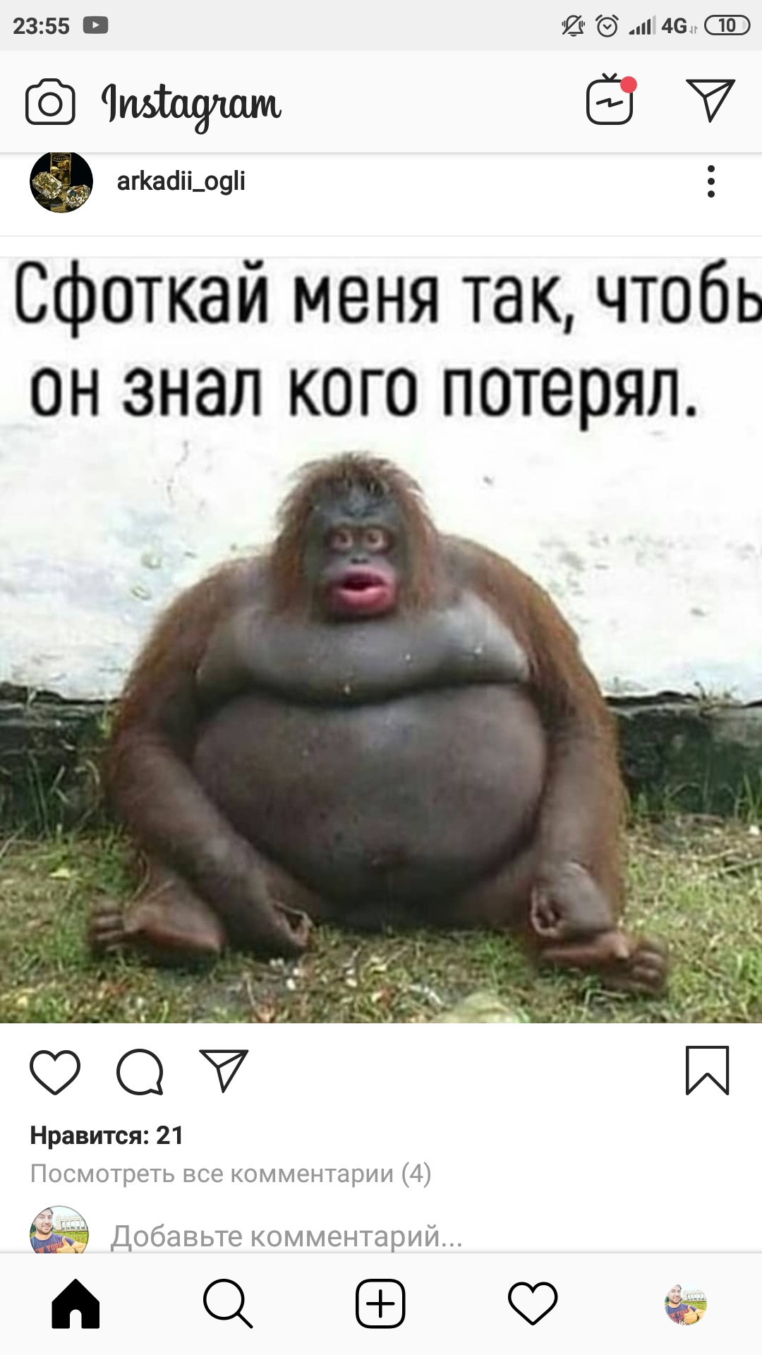 сфоткай смешные обезьяны. мемы с именем турал. сфоткай типа я мем.