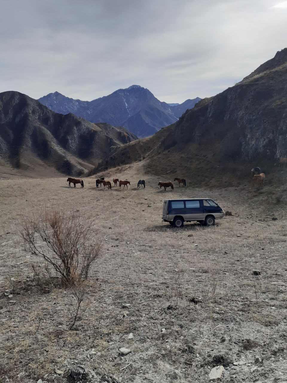 Конструктору быть или не быть? Вот в чем вопрос! — Mitsubishi Delica  (P35W), 2,5 л, 1990 года | другое | DRIVE2