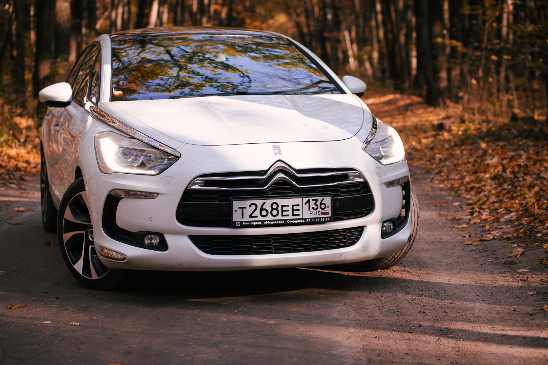 Citroen ds5 шильдик