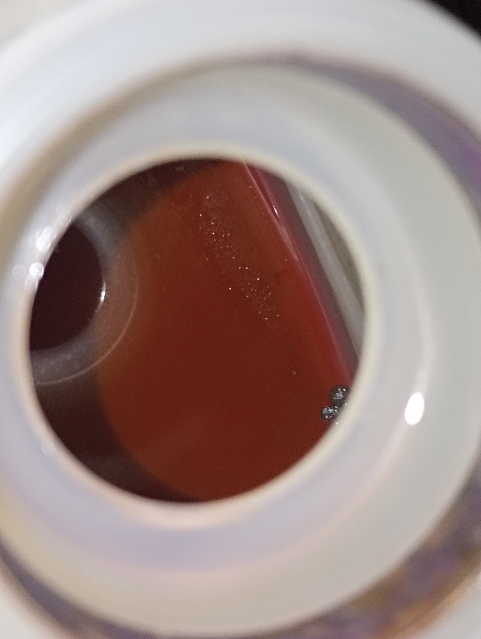 странные хлопья в антифризе. — Opel Astra G, 1,6 л, 1998 года | поломка ...