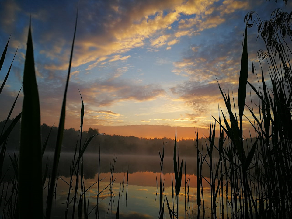 Фото в бортжурнале Volkswagen Passat Alltrack (B7)