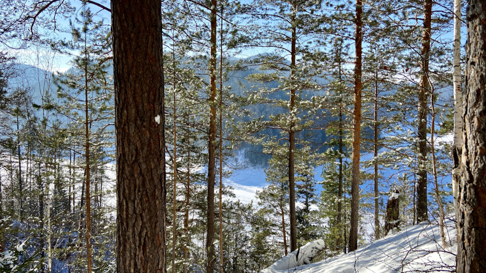 Фото в бортжурнале Honda CR-V (RD4/RD5/RD6/RD7)