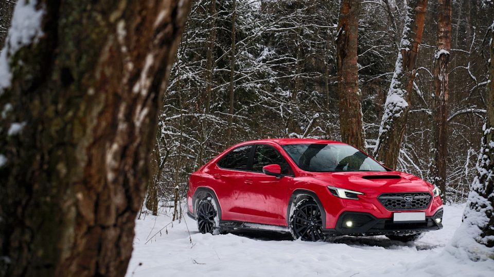 Фото в бортжурнале Subaru WRX (VB)