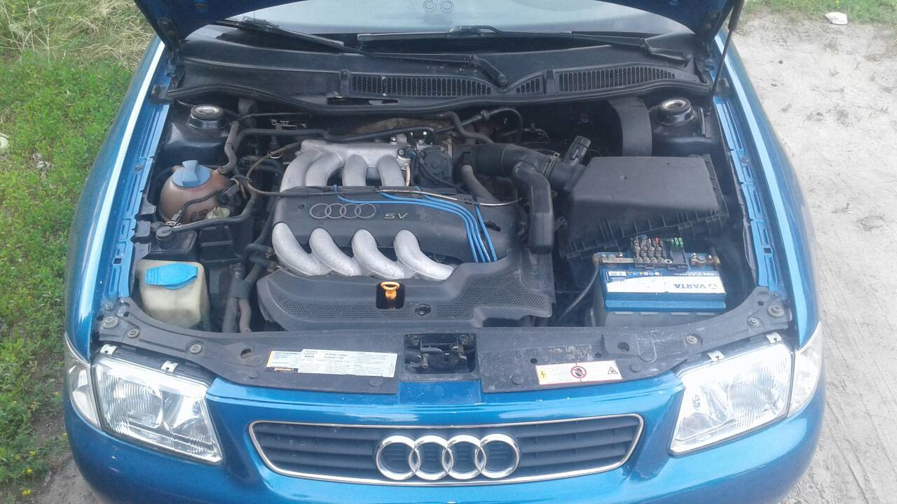 Audi A3 (8L) 1.8 бензиновый 1998 | Sepang Blue на DRIVE2