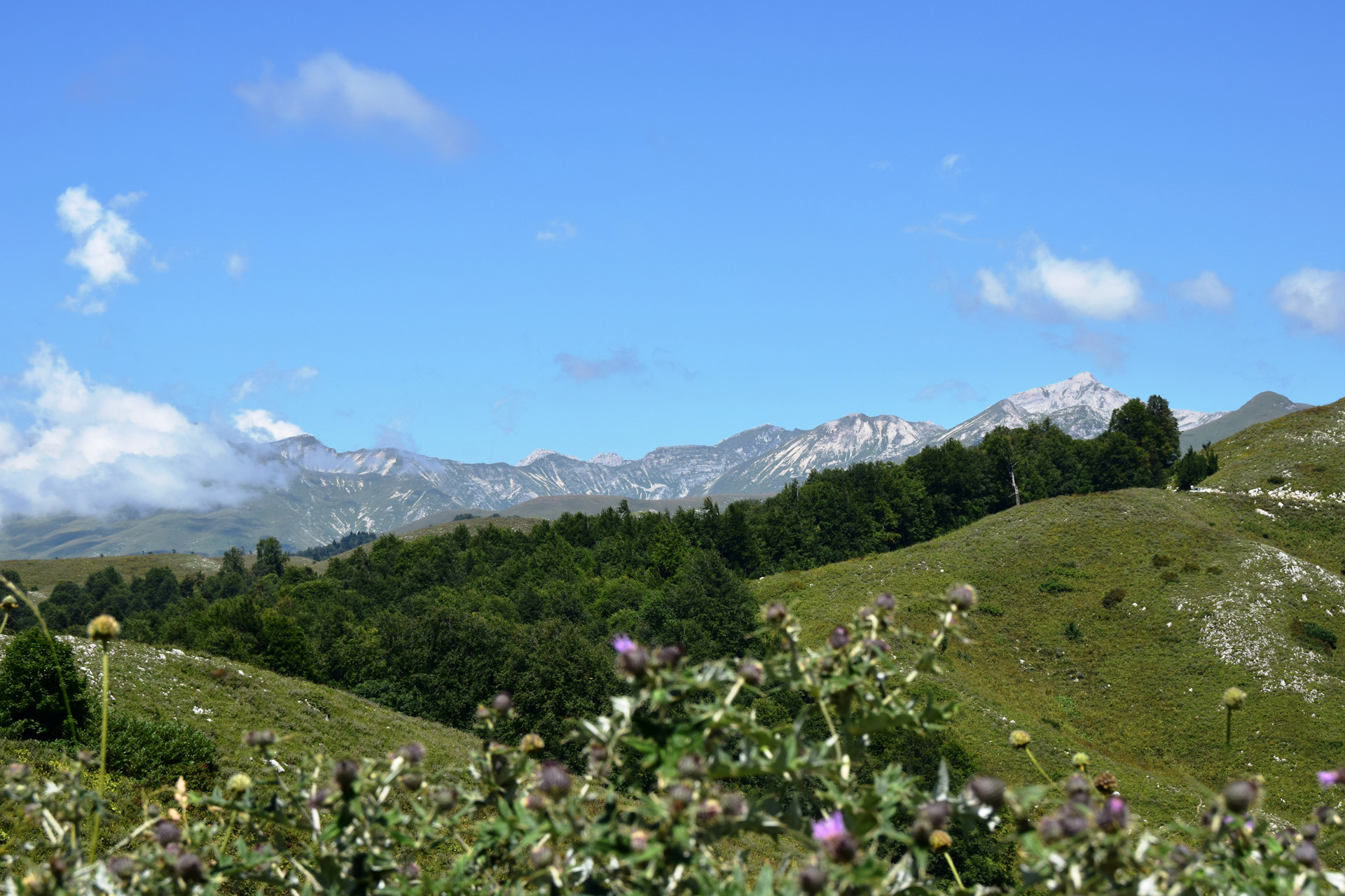 Мамзышха Абхазия гора Мзы в Абхазии