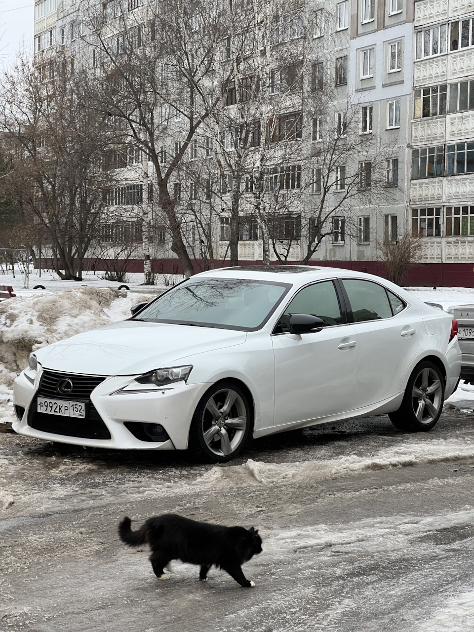 Продаю ! — Lexus IS III, 2,5 л, 2013 года | продажа машины | DRIVE2