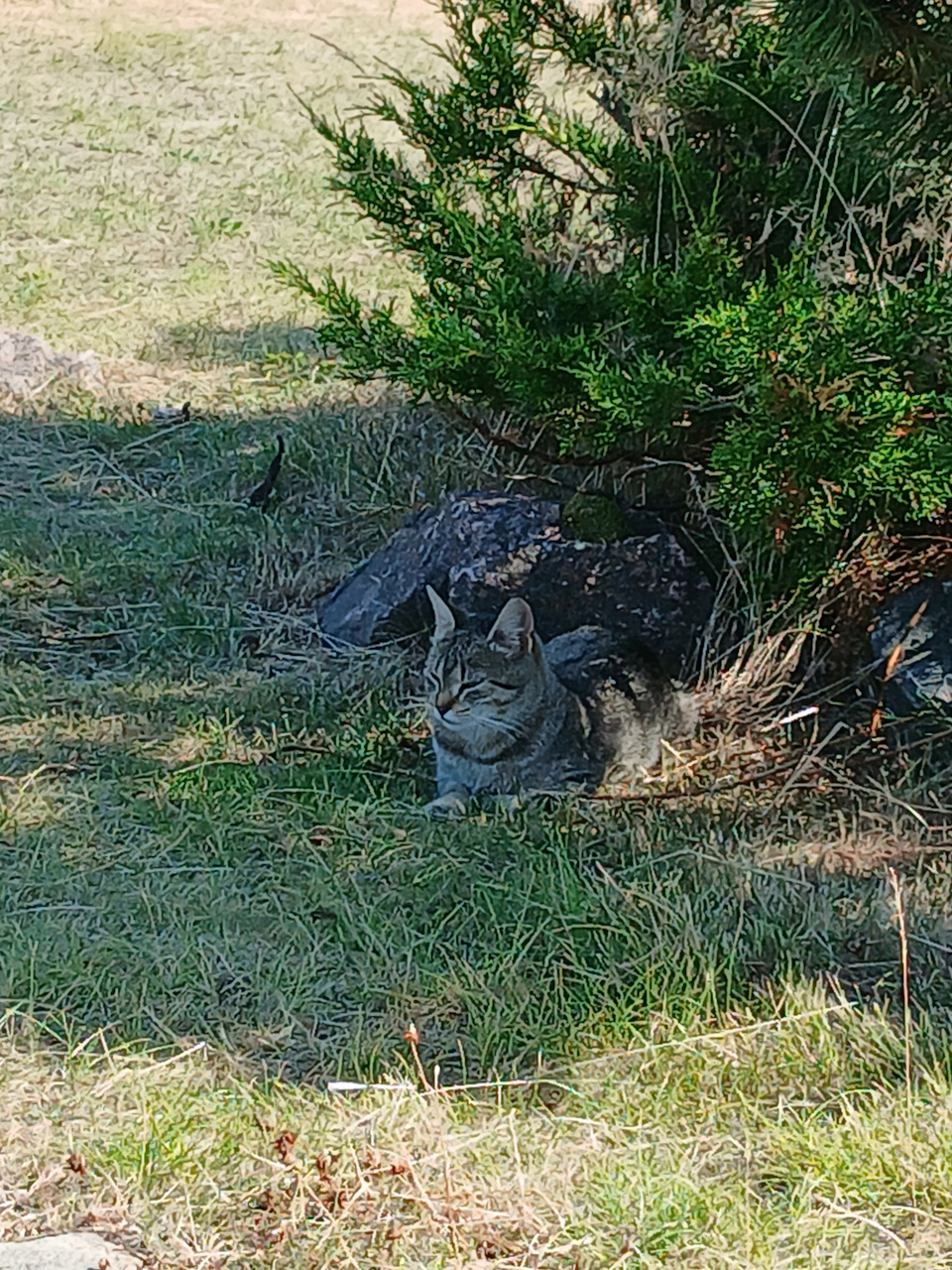 Фото в бортжурнале Renault Sandero 2G