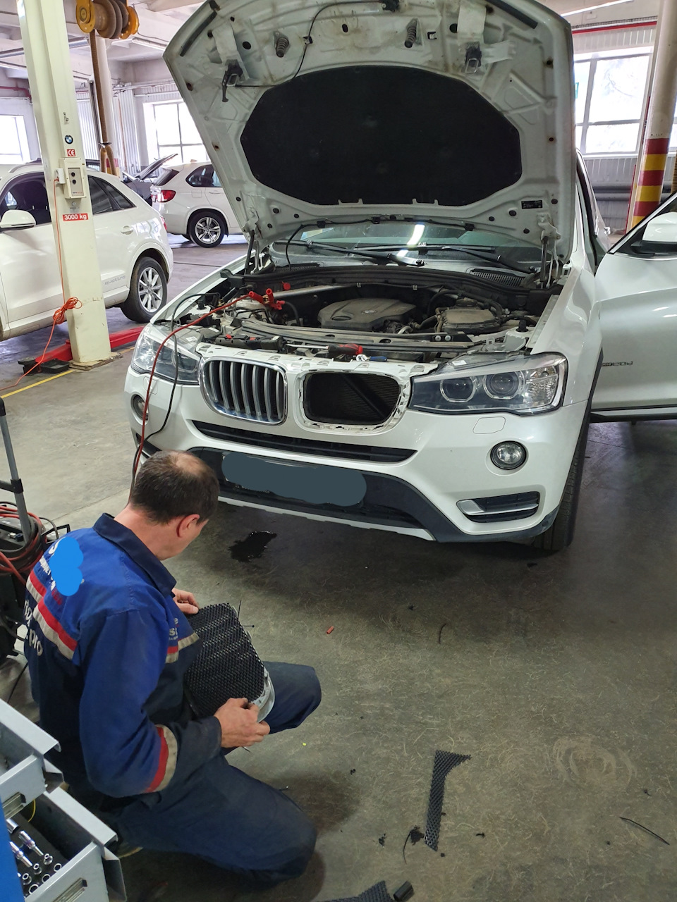 Сетка в ноздри — BMW X3 (F25), 2 л, 2017 года | другое | DRIVE2