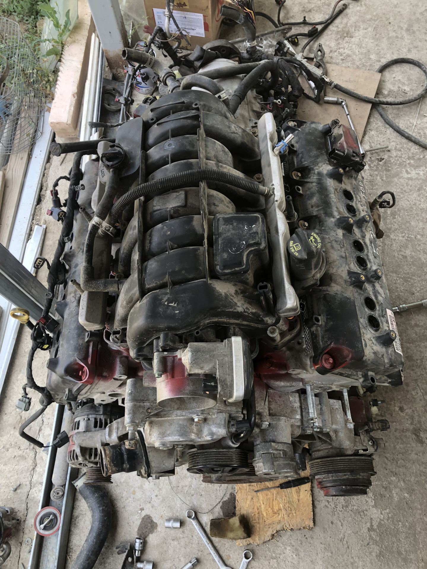 Двигатель зет 5. Двигатель зет 5. Двигатель зет 5. Двигатель зет 5. Двигатель зет 5.