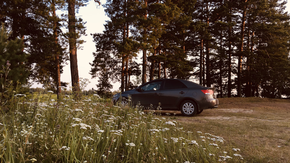 04. Подсветка приборов при включении габаритов и света. — KIA Cerato ...