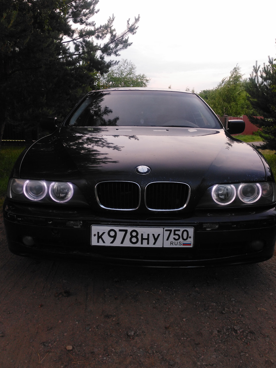 Фото в бортжурнале BMW 5 series (E39)