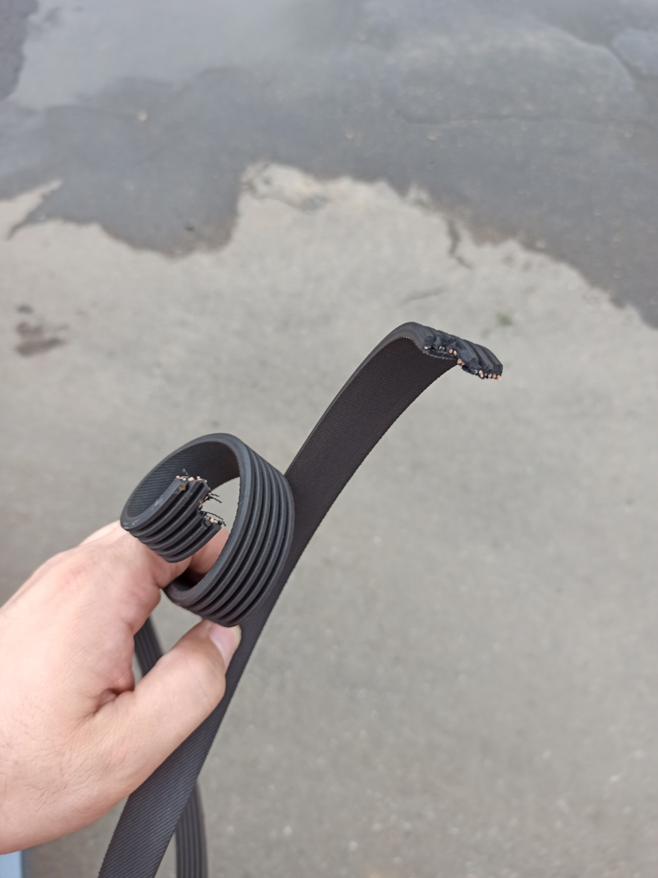 Ремень приподнес сюрприз. Ремень покинул чат. — KIA Ceed SW (1G), 1,6 л ...