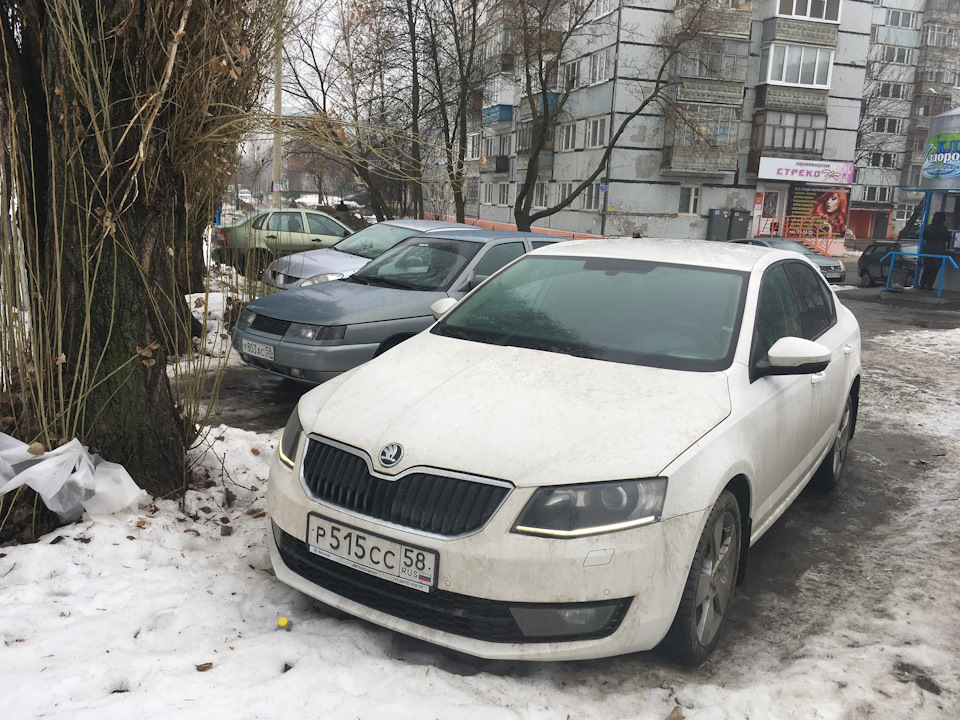 Мусорка в дверь авто