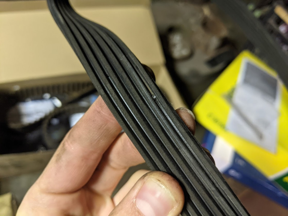 Фото в бортжурнале Volkswagen Golf Variant (Mk7)