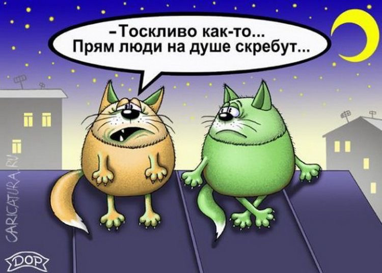 Кошки на душе скребут