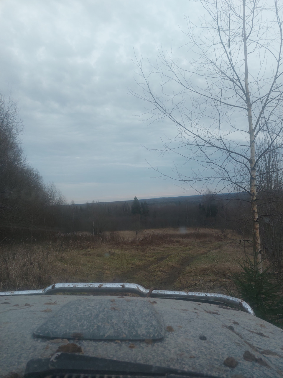 Фото в бортжурнале Suzuki Grand Vitara (2G)