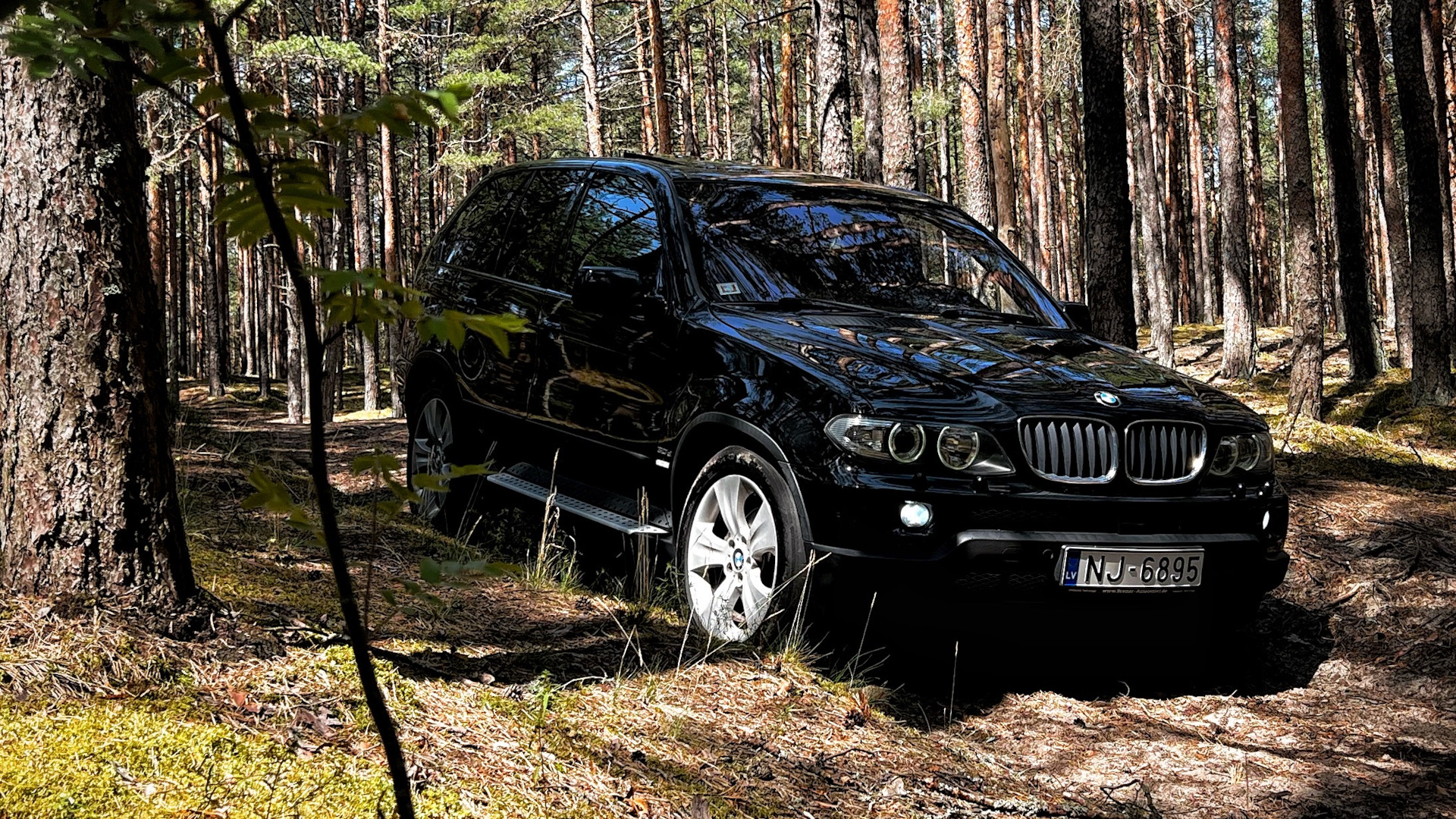 BMW X5 (E53) 3.0 дизельный 2006 | на DRIVE2