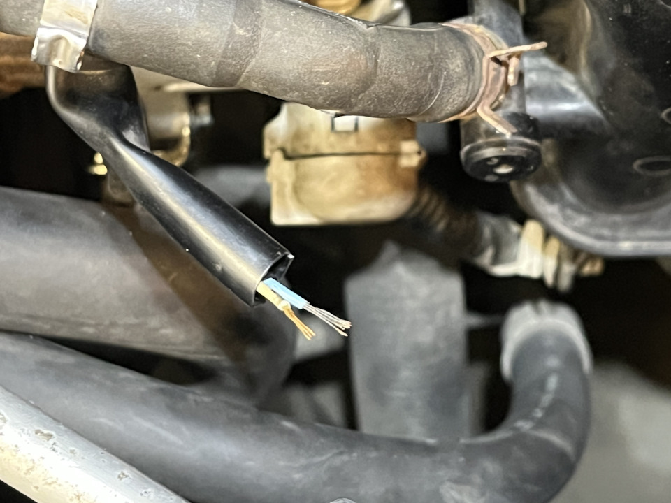 Фото в бортжурнале Mazda 3 (1G) BK