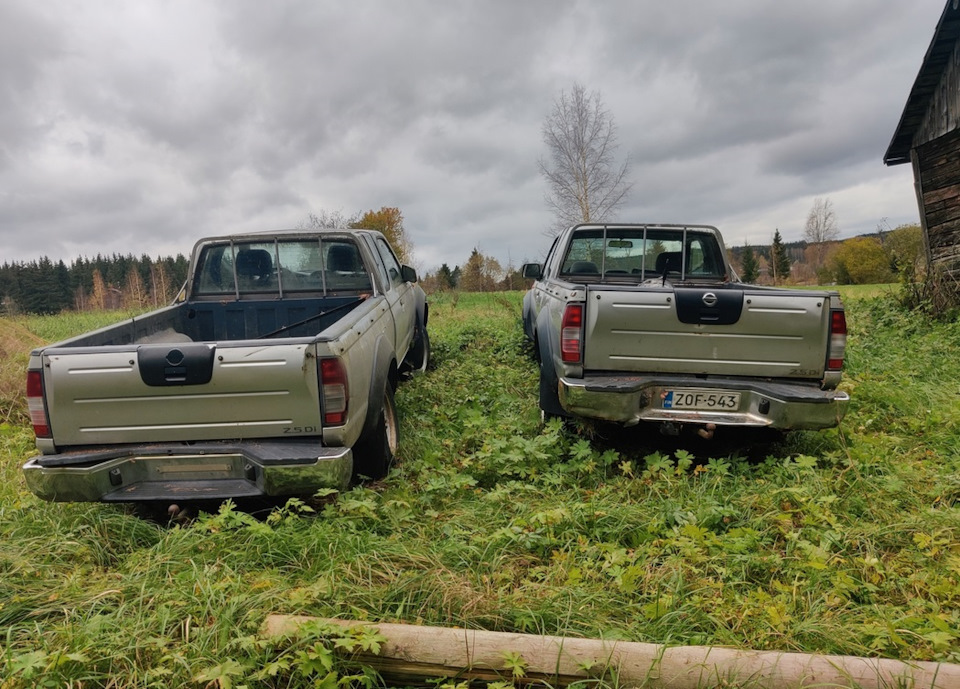 Ниссаны. Finland. — Сообщество «Брошенные Машины» на DRIVE2