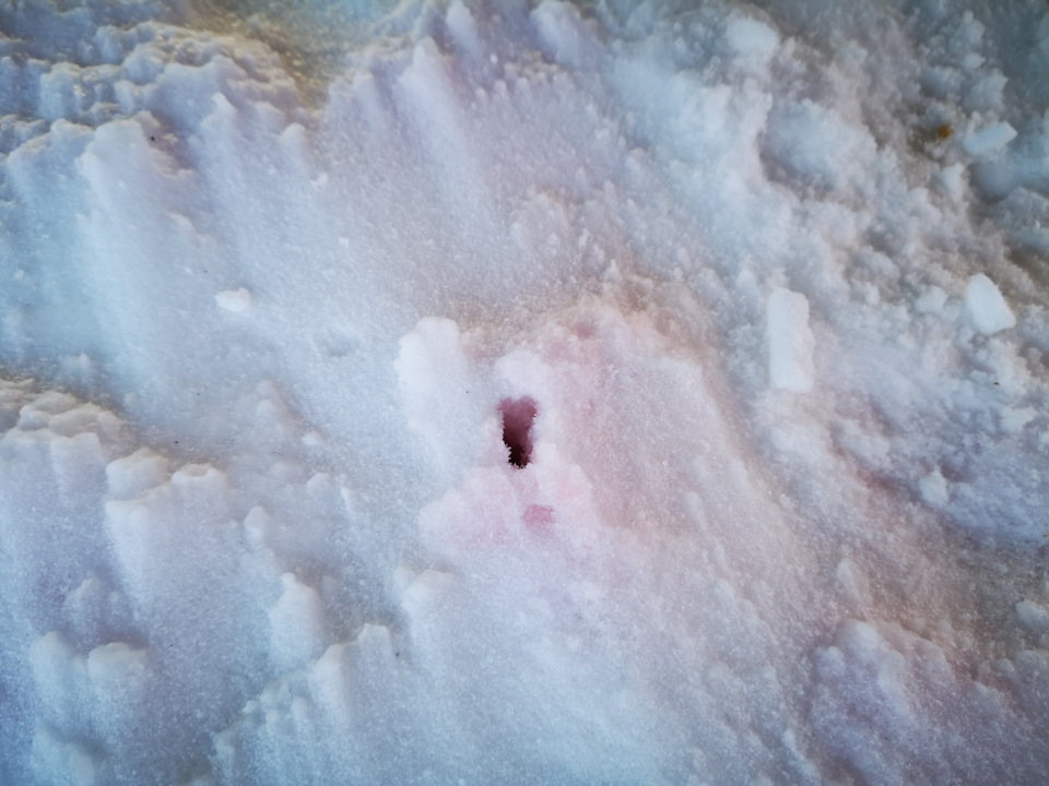 Фото в бортжурнале Chevrolet Niva (1G)