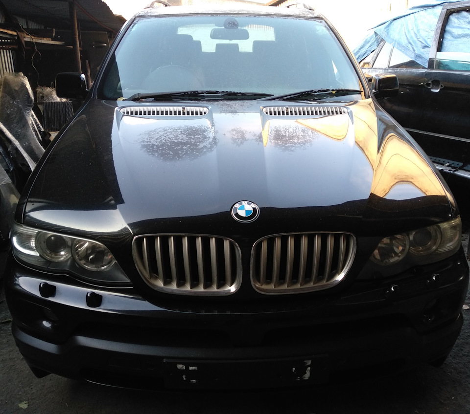 BMW X5 E53 E70 — DRIVE2