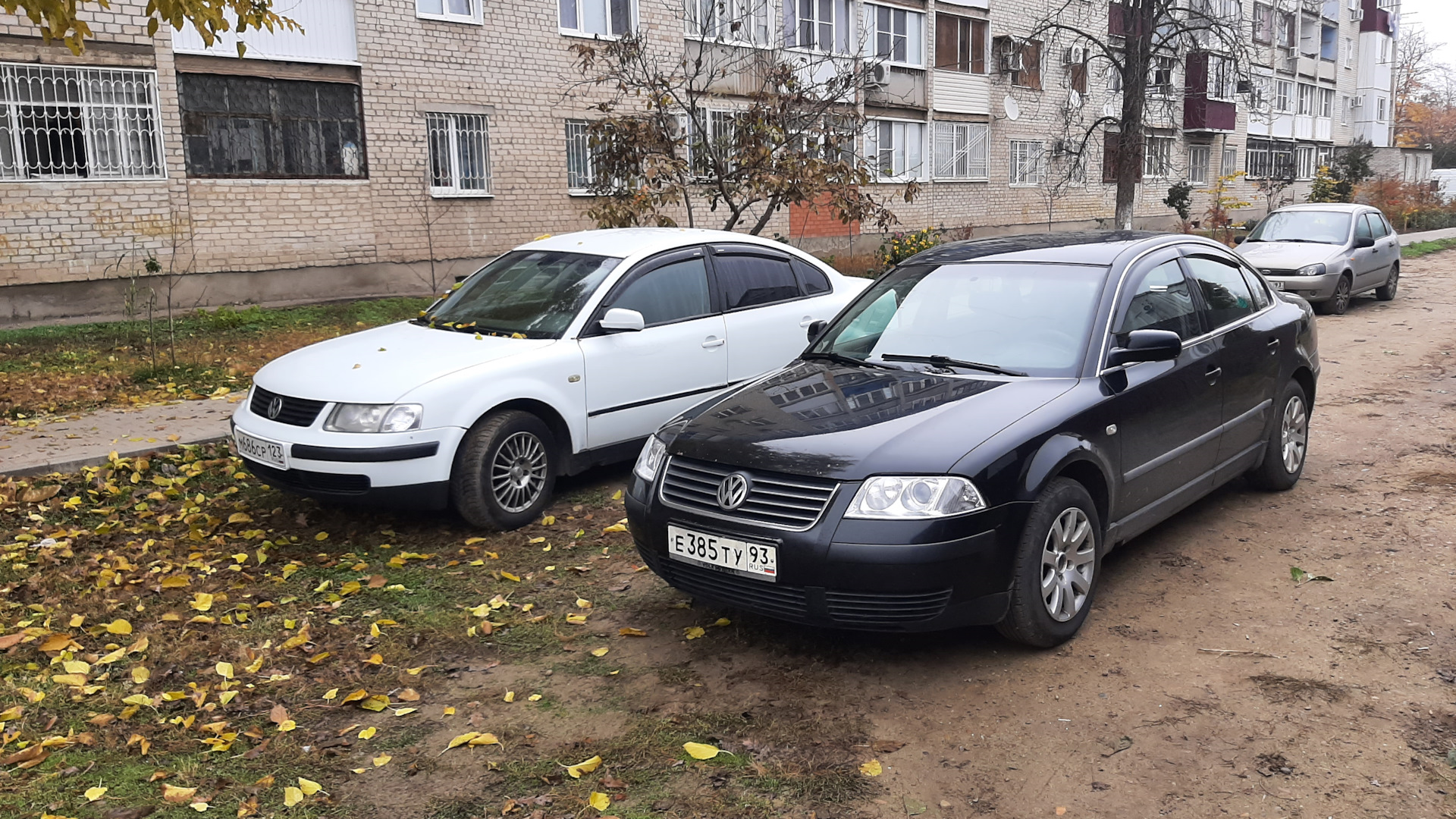 Volkswagen Passat B5 1.8 бензиновый 2002 | Брюнетка на DRIVE2