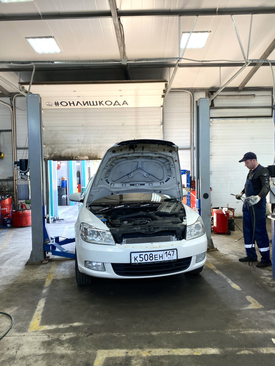 Расход масла.Визит в профильный сервис — Skoda Octavia A5 Mk2, 1,8 л ...