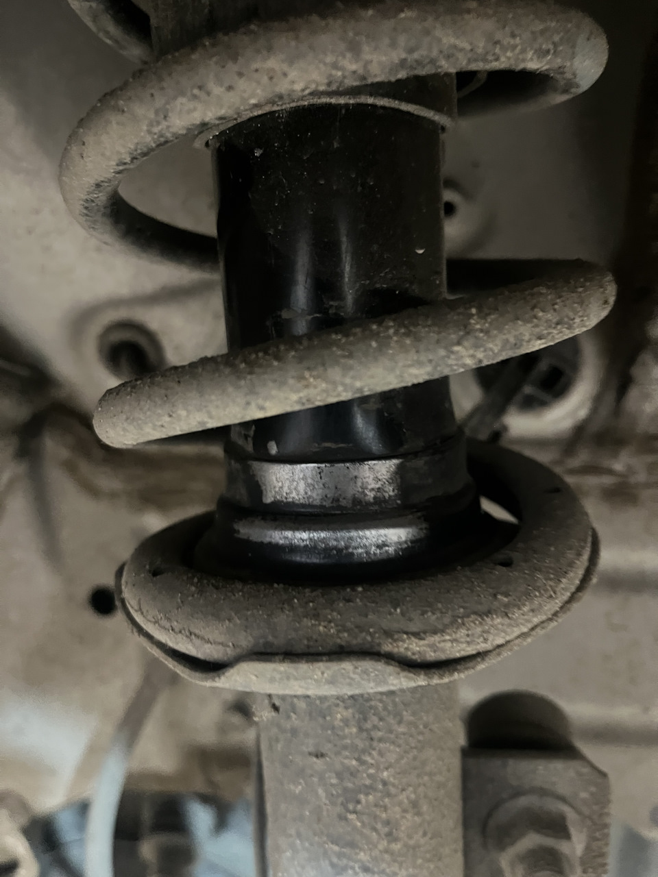 Стойки сухие. Все пыльники целые. Ходовка в порядке. — Toyota Passo (3G)