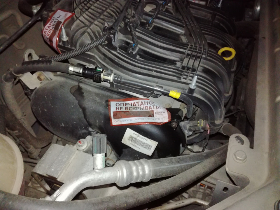 Фото в бортжурнале Lada Vesta SW Cross (1G)