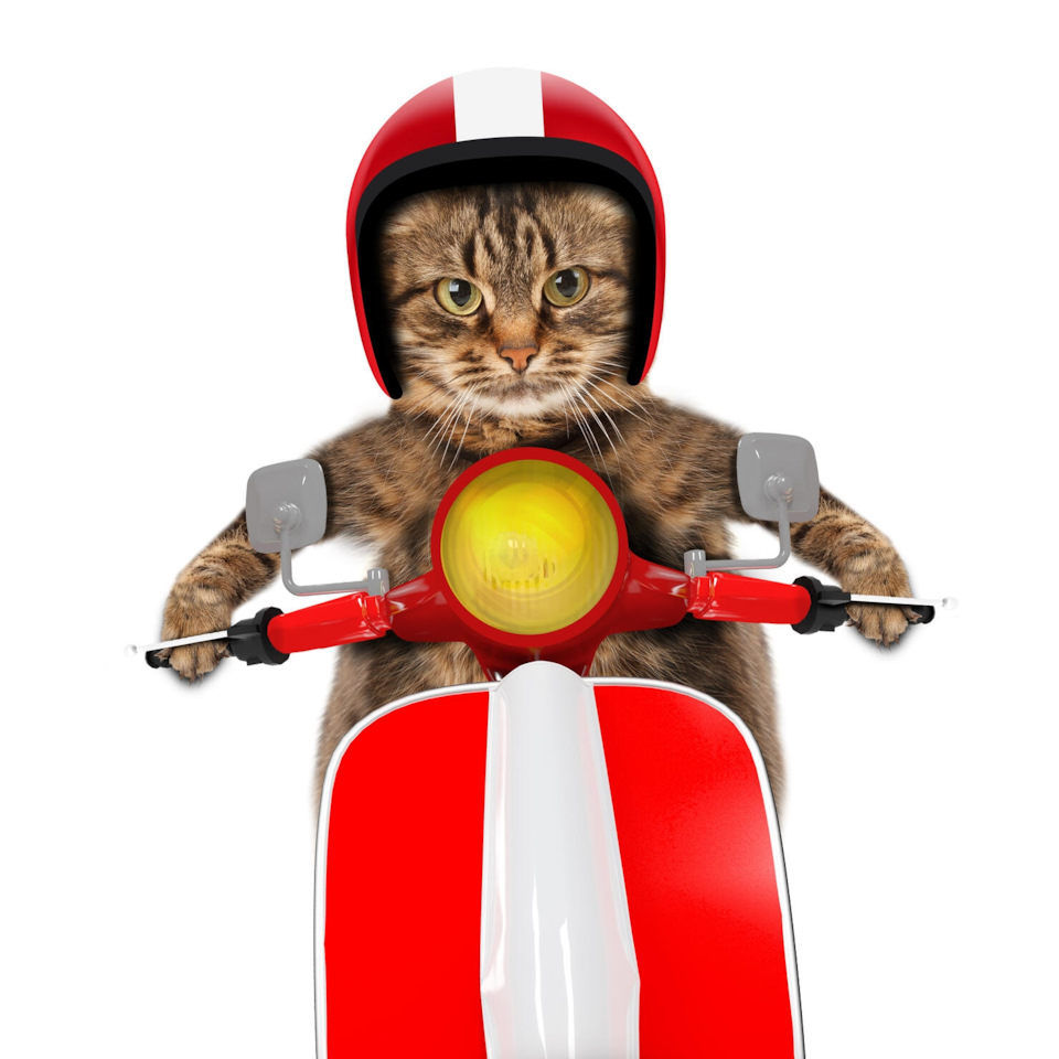 Прогорел выпускной клапан в третьем цилиндре нет компрессии — Chevrolet ...