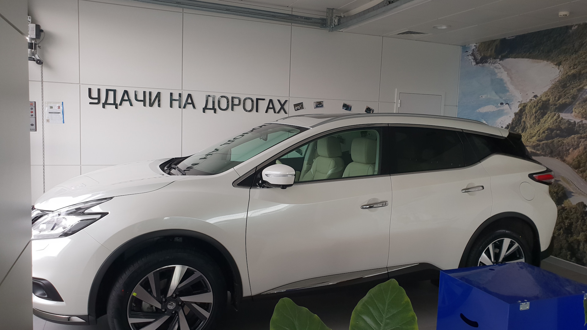 Nissan Murano III 3.5 бензиновый 2018 | Белый жемчуг машина жены на DRIVE2