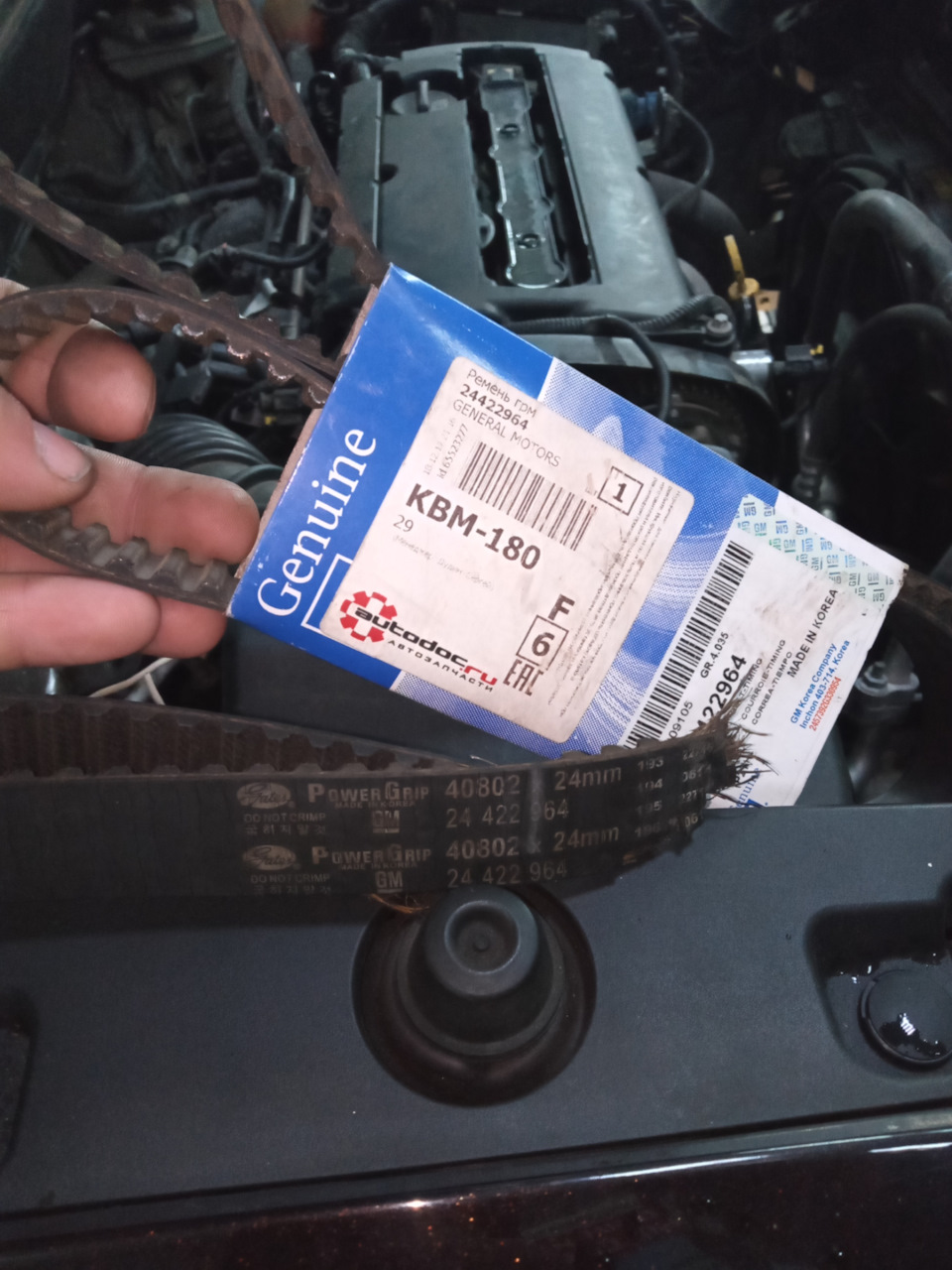 24422964 Ремень грм GM | Запчасти на DRIVE2