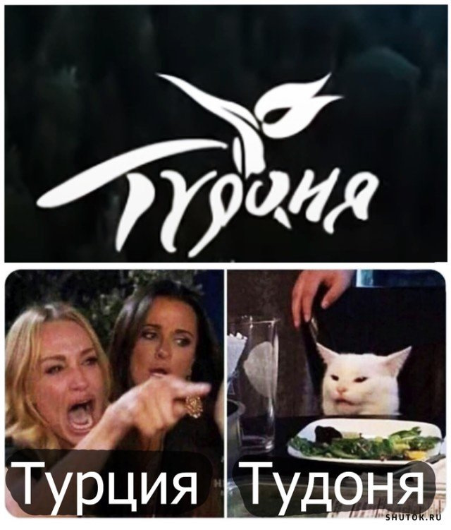 Мем кот и девушки