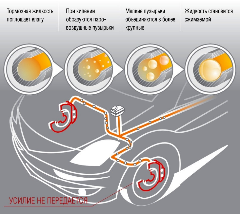 ✍️62. Замена тормозной жидкости. — Lada Vesta, 1,6 л, 2016 года | визит на  сервис | DRIVE2