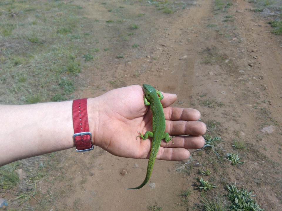 Замена Радиатора Кондиционера — Honda Stream (RN), 2 л, 2004 года ...